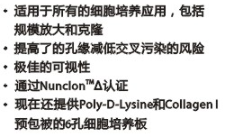 Nunclon140675多孔细胞培养板