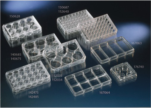 Nunclon140675多孔细胞培养板